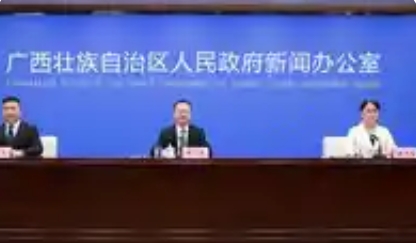 广西“四大计划”为青年就业创业筑牢保障网